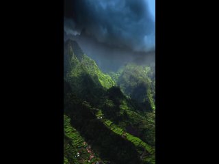 video by nature | nature | beautiful videos