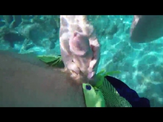 ruwhore. handjob underwater